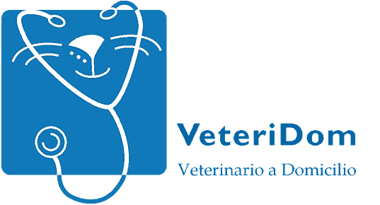 Logotipo y Diseño Web para Veterinarios